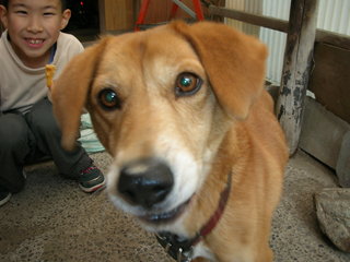 DSCN0068.JPG