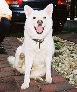 FH000017.jpg